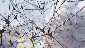 Science Grand Format