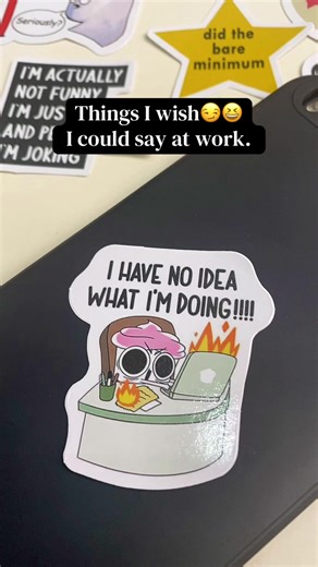 130 funny vinyl waterproof stickers in one pack for your water bottle or hard hat or laptop or ya know whatever #funnystickers #vinylstickers #stickers #tiktokshop #fyp