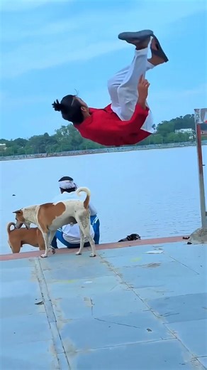 Dog🐶friendship speaks louder than words #viraljump #dogapparel #dogshorts #doglife #youtubeshorts ..