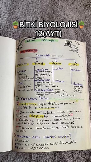 Meristem Doku Ürünü Alım Rehberi