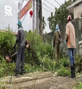 16K views · 202 reactions | Transform an abandoned house with dense grass into a clean one. | Clean Up TV | Facebook