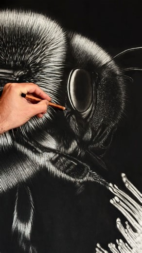 693 reactions · 22 shares | TIME LAPSE : MAYA - SKIMA  . CONCOURS...