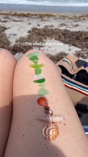 A great time to go #shelling #beachcombing #ocean #shell #shell