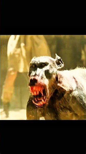 The real fight between man and animal #shorts