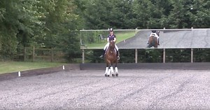Half pass and canter zig zag