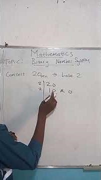Binary Number System