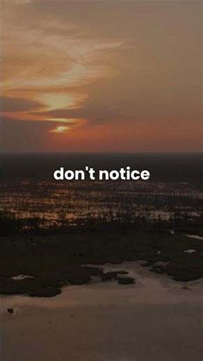 You're Rust Cohle and this is the burden of consciousness.