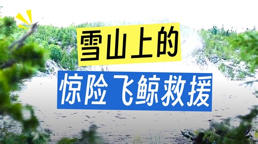 一口气看完#我的观影报告 #电影推荐 #影视解说