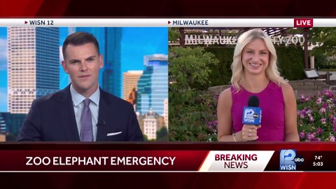Front-end loader helps Milwaukee County Zoo elephant get off ground