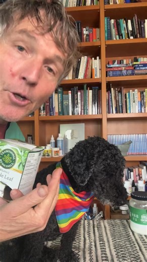 The best herbal antihistamine for Dog Allergies - 📘 Dr. Jones' Free Book: http://veterinarysecrets.com/news/ | Dr. Andrew Jones - Veterinary Secrets