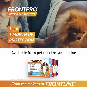 Nothing should come between you and your dog – especially fleas and ticks. Try NEW FRONTPRO® chewable tablets  | Pets UK | Facebook