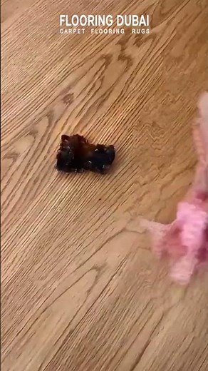 Transform Your Floors | Easy Vinyl Sheet Installation Guide