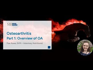 Part 1 - Overview of Osteoarthritis in Horses - Mad Barn - Vet Talk