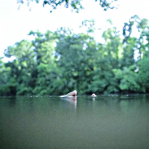 Film and Cinema Lovers Unite