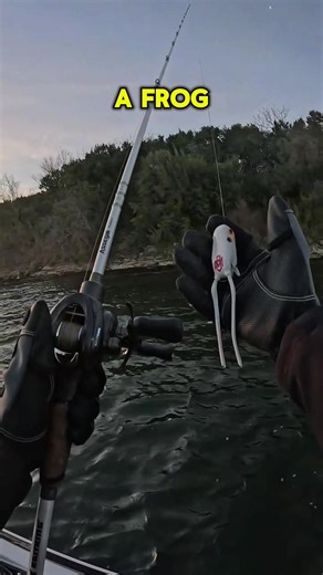 How to Fish a Frog for Bass Effectively