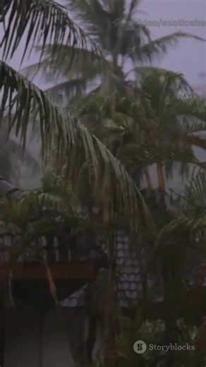 Tropical Storm Kalmaegi Tracking West – Vietnam, Thailand, and Cambodia on Alert Tropical Storm Kalmaegi tracking update: Kalmaegi is east of the Philippines moving west toward the South China Sea and may reach Vietnam’s central coast around Nov 6–8. Expect heavy rain, strong winds and coastal flooding — NCHMF alerts coastal provinces to prepare. A nearby tropical depression could strengthen. Thailand should watch for increased rainfall and rough seas (TMD: monsoon trough, low over Cambodia; wav