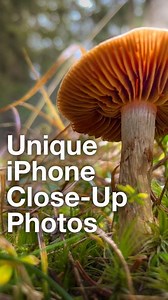 iPhone Photography School on Instagram: "Watch this video tutorial from our new iPhone Landscape Mastery course and discover how to take unique iPhone close-up photos. 📱 . Find out more about iPhone Landscape Mastery: iphone.to/ig . #iphonephotography #iphoneonly #iphonephoto #shotoniphone #iphonephotographyschool #iphonephotoacademy #iphoneography #iphonography #photographytutorial #landscapephotography #travelphotography #italy #learnphotography #closeupphoto #macrophotography"
