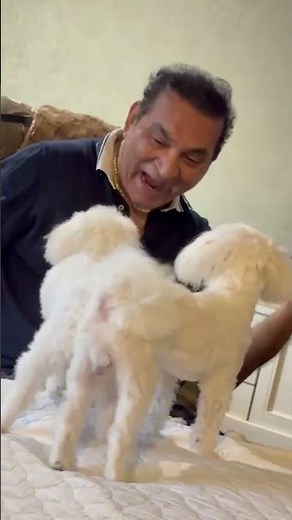 Human Glitch ... Puppy Love ❤️😍|| Abhijeet Bhattacharya