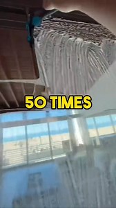 1.1M views · 5.1K reactions | Mind-Blowing Facts That'll Leave You Speechless!  #facts #Curiosity #funfacts #DidYouKnow | The Dorathy Bachor | Facebook