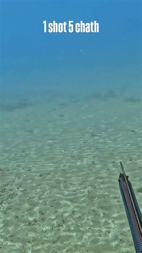 No way 👀🔥Sub for Part 2🙏🏻 #fishing #spearfishing #ocean #scubadiving #wild #viral #fyp