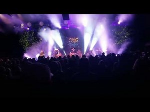 THE BROTHERS COMATOSE featuring Sully Tuttle. Live at Pickin in the Pines 2025 in Flagstaff Arizona