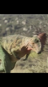 The Majestic Dinosaur Era #jurassicwine #jurassicpork #jurassicclarke #jurassicparktoys #jurassic #JurassicPark #jurassicjen #jurassicparkride #jurassicworldspain #jurassiccoastline #jurassicpark3 #JurassicPerth #JurassicWorldSequel #JurassicWorldTheGame #jurassicworldblue #jurassicgirl #JurassicWorldFallenKingdom #jurassicart #jurassicvalley #jurassicparktshirt #jurassicworld2 #jurassicparkfanart #jurassicword #jurassicfan #jurassicworld3d #JurassicWorldEvolution #JurassicPark4 #jurassicworld |