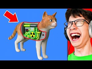 Reacting to How a Cat Works (Funny Animation)