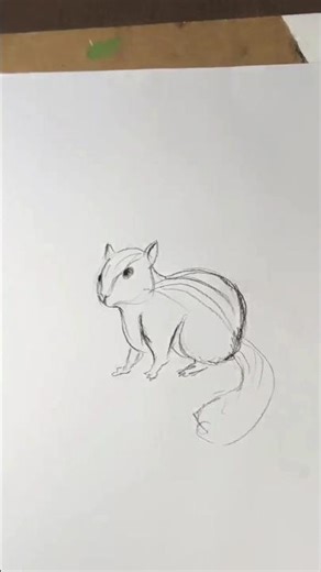 Chipmunk squirrel Pencil Drawing | Easy & Realistic Sketch” 🐿Squirrel