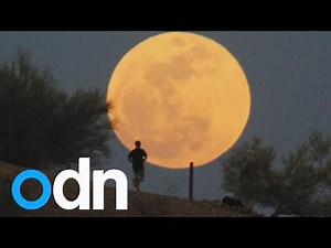 Supermoon 2014: Giant moon lights up sky across the globe