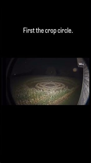 First the Crop Circle… Then the Light