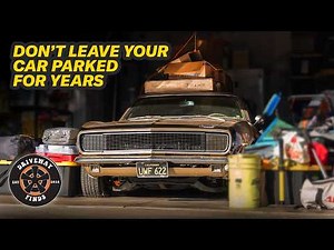 Forgotten muscle! Can we get this iconic 1967 Chevrolet Camaro driving again? | Driveway Finds