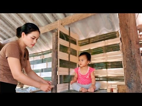 Single Mother Builds a Bamboo Cabin Alone – A New Life Begins