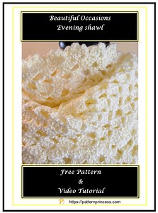 Beautiful Occasions Evening Shawl