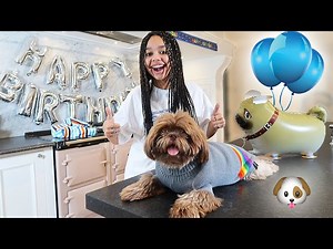 OUR DOG'S SURPRISE BIRTHDAY PARTY!! - Videos For Kids