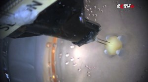 1.7K views · 63 reactions | Chinese researchers have developed a brain-on-a-chip intelligent interaction system to train a robot to perform tasks, shedding a new light on brain-computer interface research. The system, jointly developed by researchers from Tianjin University and the Southern University of Science and Technology, enables a brain organoid to autonomously control robots for tasks. https://www.cctvplus.com/news/20240810/8389627.shtml#!language=1 | CCTV+ | Facebook