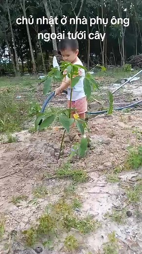 có làm mới có ăn 😆😆