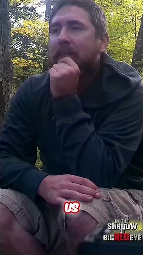 Owl Hooted, Then a Scream! Terrifying Woods Encounter