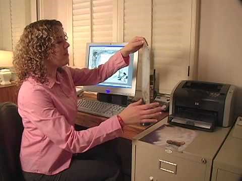 First Name Meaning Software