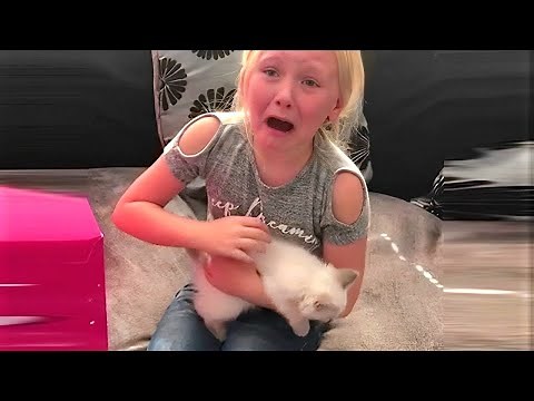 She Lost Her First Cat… We Surprised Her With a Kitten! ❤️