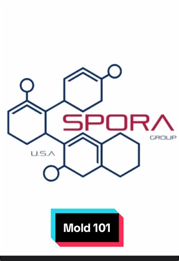 🦠 Mold 101: Everything You Need to Know About Penicillium & Aspergillus! 💧 Did you know that mold can grow in just 24-48 hours in damp areas? 🕒 In this video, we break down the basics of Penicillium and Aspergillus molds—where they thrive, how they spread, and how to keep them out of your home! 🏠 👀 Learn about: How these molds spread through tiny spores 🌬️ Fun facts (did you know Aspergillus is used in food fermentation?!) 🍶 Simple tips to prevent mold growth in your space 💡 💪 Let’s kee