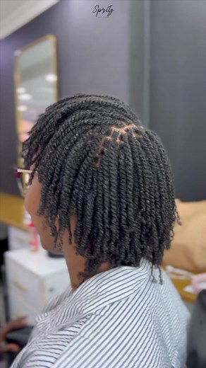 Mini Two Strand Twists: Perfect Protective Style