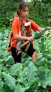 1.4M views · 10K reactions | Hard life of single mom after break up husband #206 | Ben Koracevic | Facebook