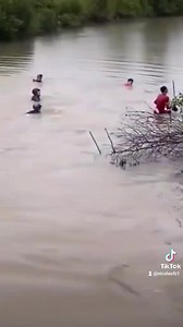 Online Shop on Reels