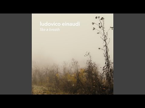 Einaudi: Experience