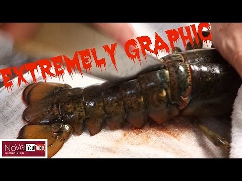EXTREMELY GRAPHIC: Maine Lobster Dynamite - How To Make Sushi Series