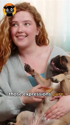 Dogs With the Goofiest Faces Ever