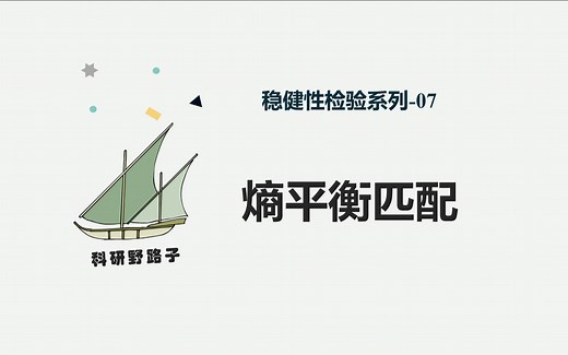 稳健性检验07---熵平衡匹配【科研野路子】