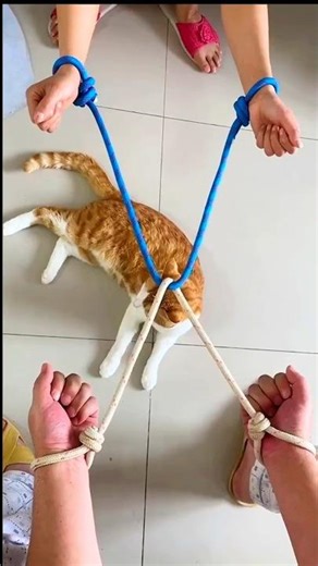 Don’t Try This Rope Hack Unless You Want to Be Shocked🔥#viral #short #trendingshorts