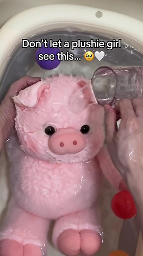 Plushie Collection Secret: Must-See for Plush Lovers