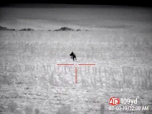 Ambassador Brad Stengel calls out this #coyote and almost gets the hunt ruined by a doe. He still manages to get the yote to stop and take a shot using his #ThOR4 384 4.5-18x #thermalscope. #ATNCorp Is #TheFutureOfOptics! https://www.hdsmartoptics.com/thor-4.html | ATN